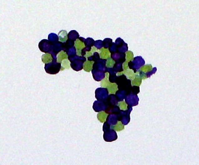 africadetail.jpg